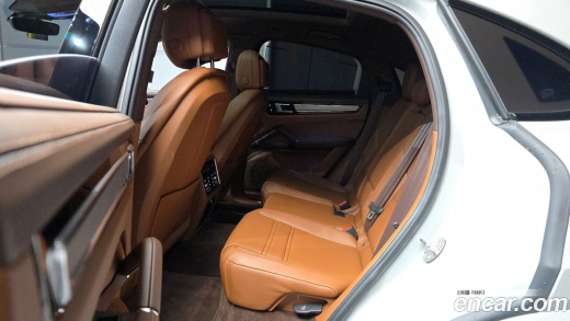 Porsche Cayenne 3.0 COUPE PLATINUM EDITION, 2023