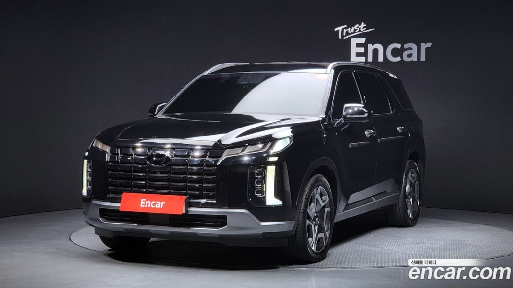 Hyundai Palisade Diesel 2.2 2WD, 2024
