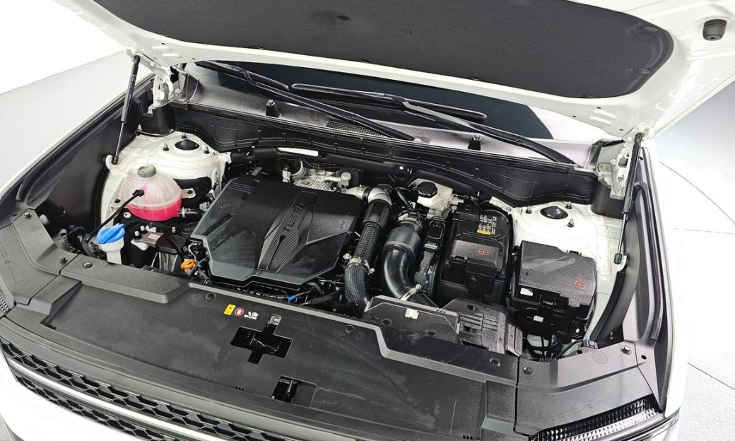 Hyundai Santafe Gasoline 2.5T 4WD, 2024
