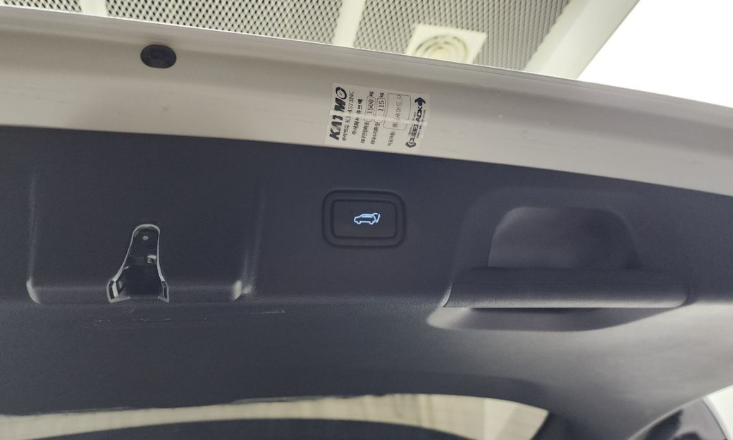 Hyundai Palisade Diesel 2.2 2WD, 2024