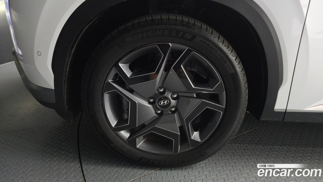 Hyundai Palisade Diesel 2.2 2WD, 2024
