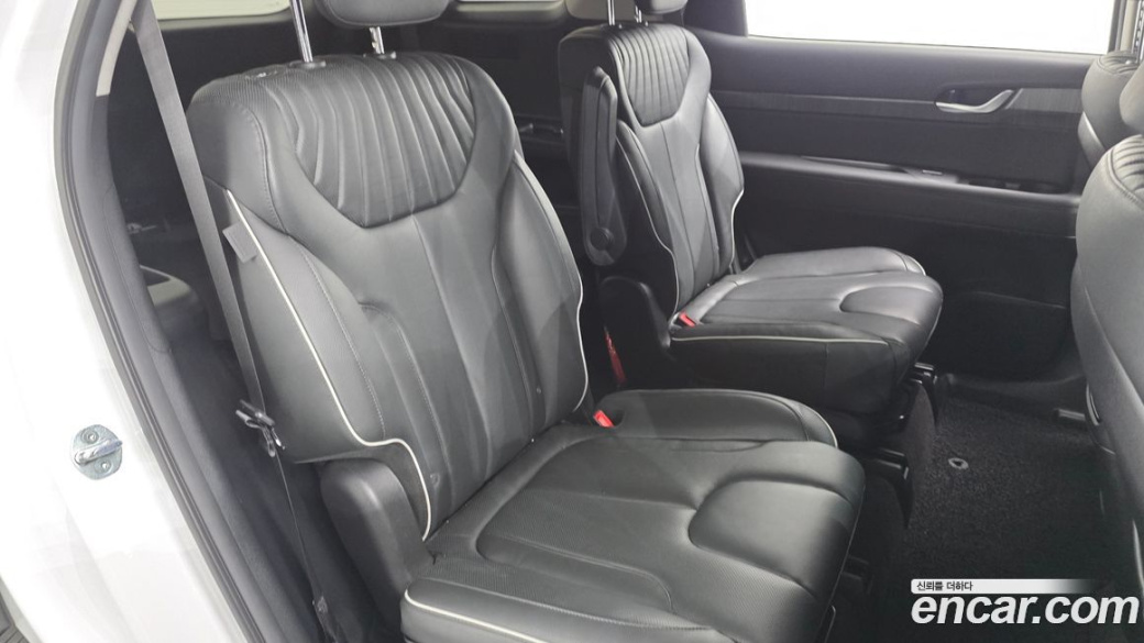 Hyundai Palisade Diesel 2.2 2WD, 2024