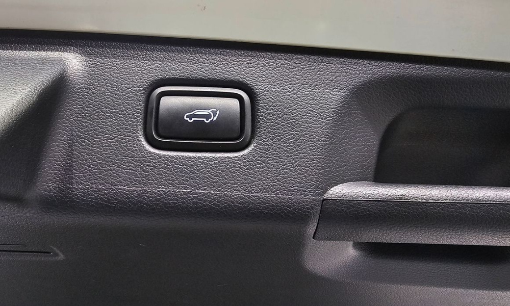 Hyundai Palisade Diesel 2.2 2WD, 2024