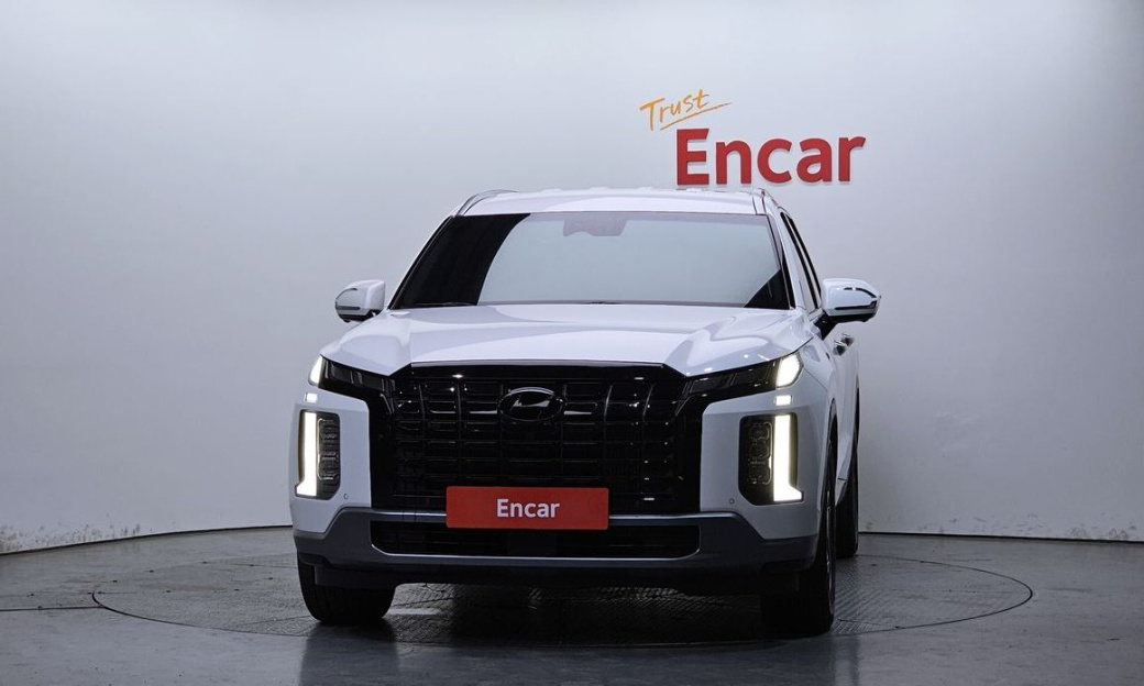 Hyundai Palisade Diesel 2.2 2WD, 2024