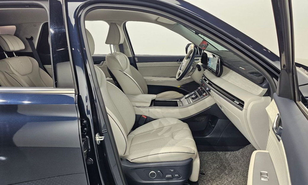 Hyundai Palisade Diesel 2.2 2WD, 2024