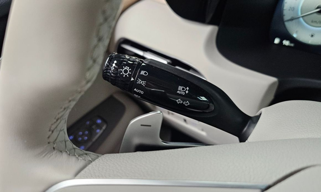 Hyundai Palisade Diesel 2.2 2WD, 2024