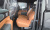 Kia Tasman 2.5T Gasoline 4WD, 2026