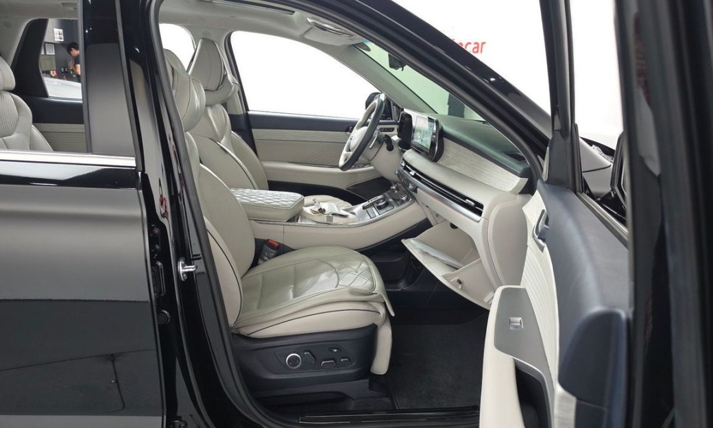 Hyundai Palisade Diesel 2.2 2WD, 2024