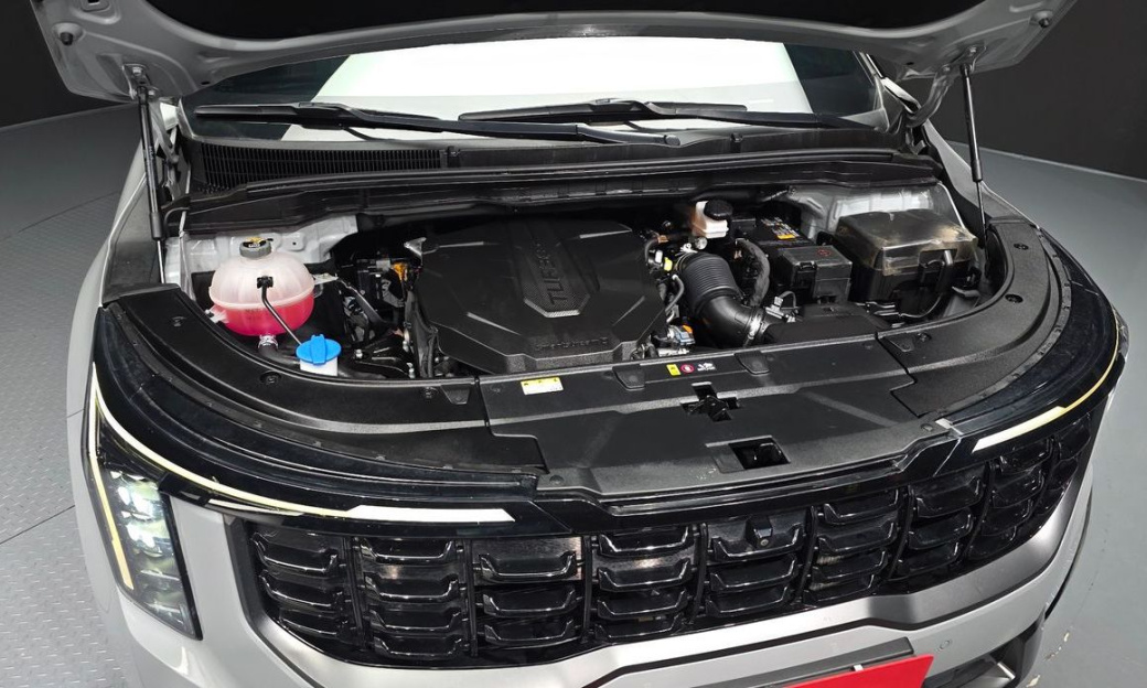 Kia Carnival 9-Seater Gravity, 2024