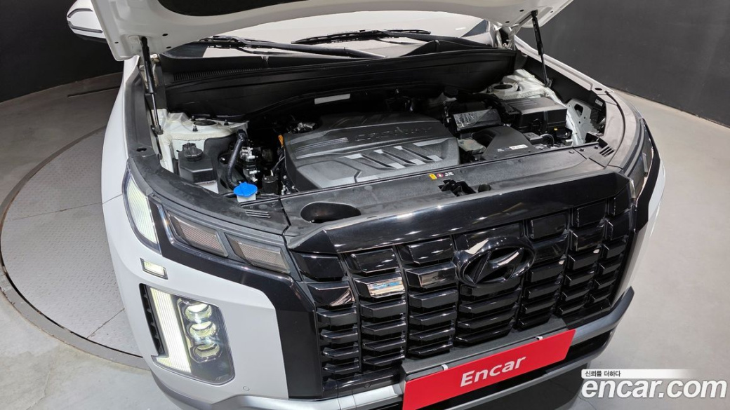 Hyundai Palisade Diesel 2.2 2WD, 2024