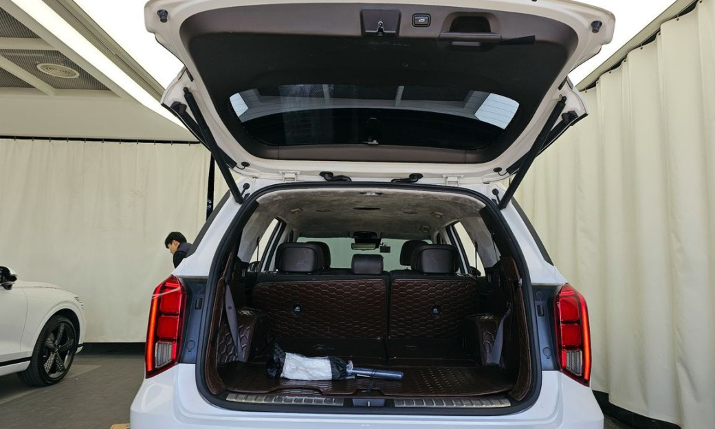 Hyundai Palisade Diesel 2.2 2WD, 2024
