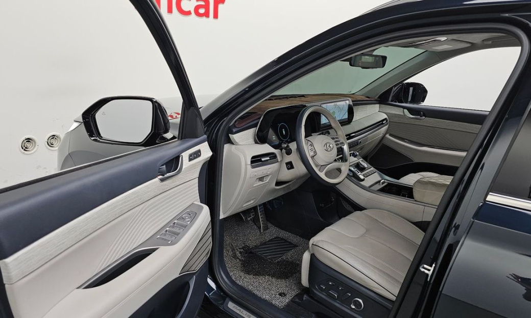 Hyundai Palisade Diesel 2.2 2WD, 2024
