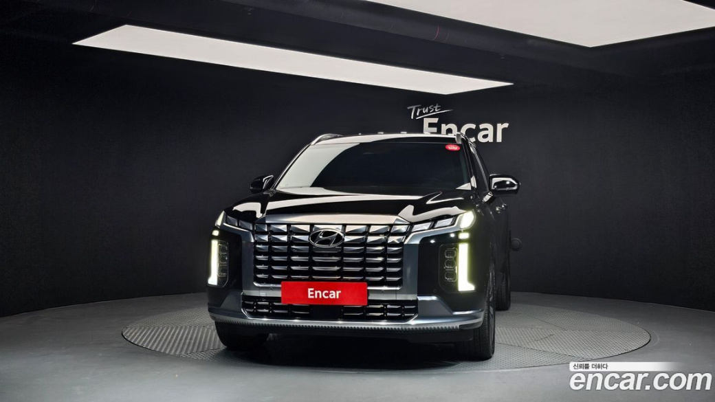 Hyundai Palisade Diesel 2.2 2WD, 2024