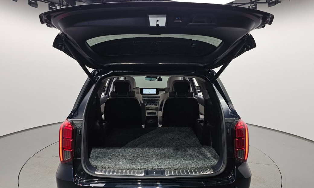 Hyundai Palisade Diesel 2.2 2WD, 2024
