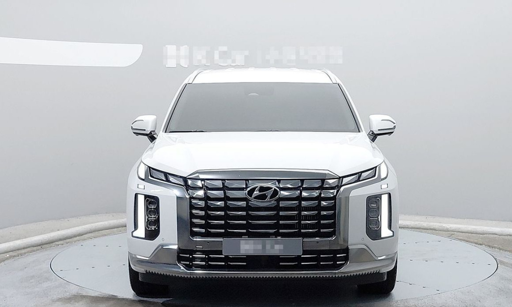 Hyundai Palisade Diesel 2.2 2WD, 2024