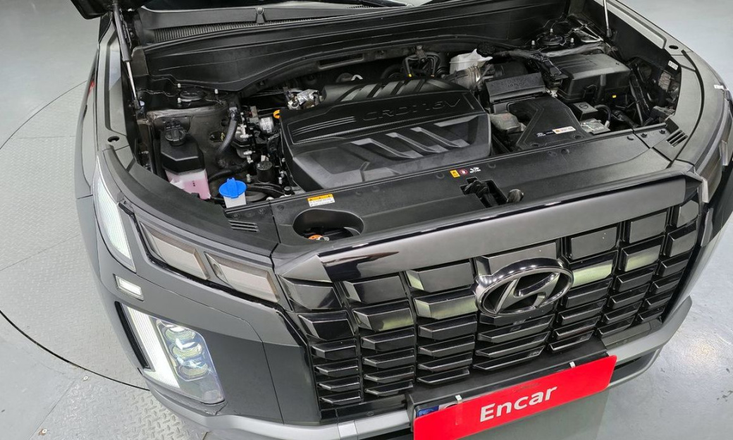 Hyundai Palisade Diesel 2.2 2WD, 2024