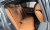 BMW 3-Series 320i M Sport, 2022