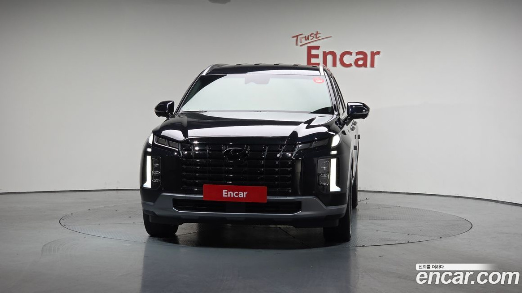 Hyundai Palisade Diesel 2.2 2WD, 2024