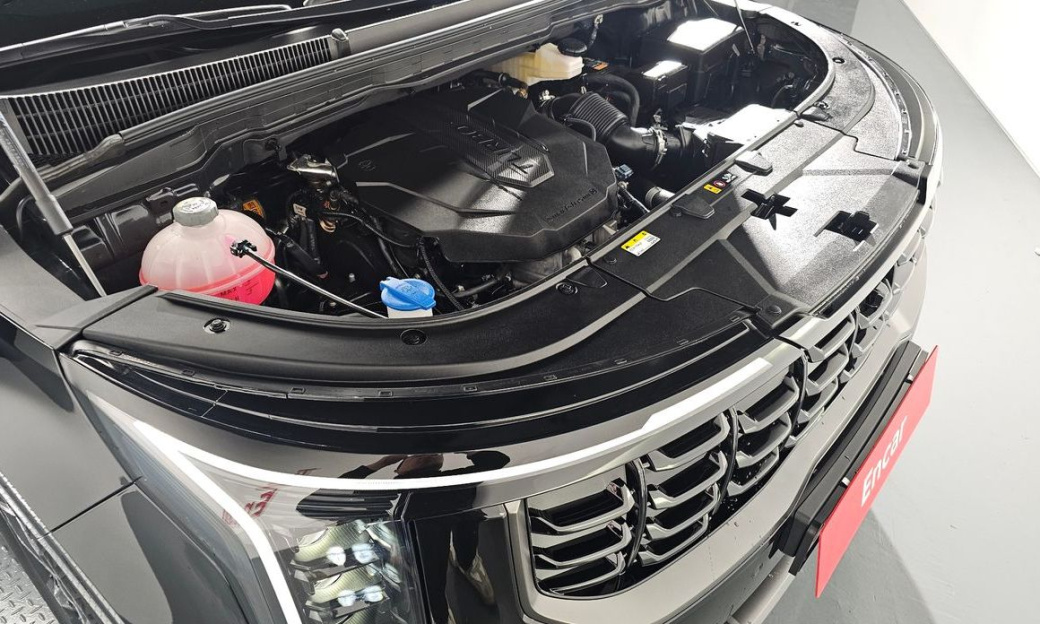 Kia Carnival 7-Seater Gravity, 2024