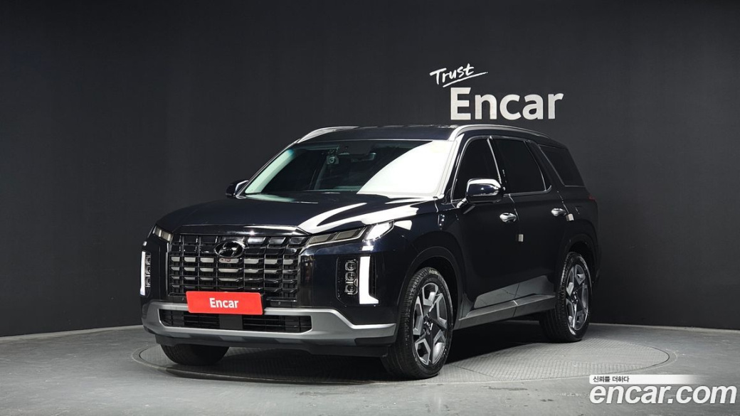 Hyundai Palisade Diesel 2.2 2WD, 2024
