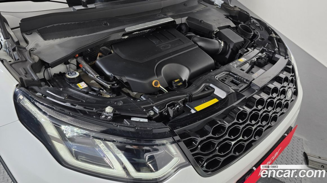 Land Rover Discovery Sport P250 Dynamic SE, 2025