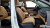 Kia Carnival 9-Seater Signature, 2023
