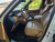 Land Rover Range Rover D350 Autobiography Long Wheel Base, 2025