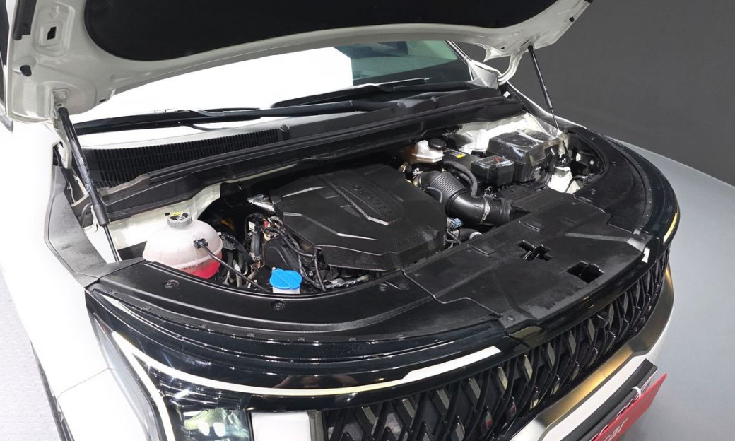 Kia Carnival 9-Seater Signature, 2024