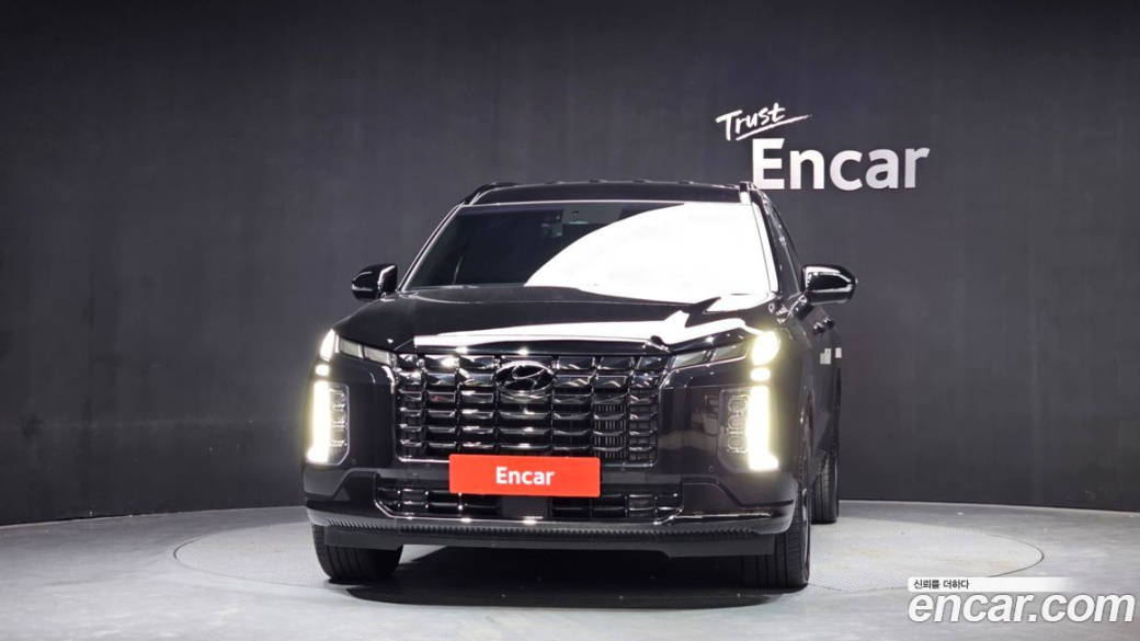 Hyundai Palisade Diesel 2.2 2WD, 2024