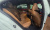 Mercedes-Benz E-Class E220d 4MATIC Exclusive, 2025