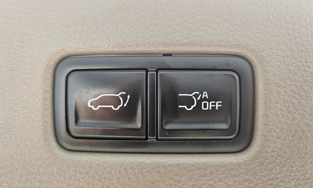 Kia Carnival 9-Seater Hi-Limousine, 2022