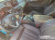 BMW 5-Series 530i xDrive Luxury, 2023
