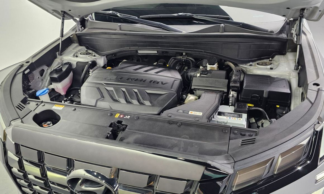 Hyundai Palisade Diesel 2.2 2WD, 2024