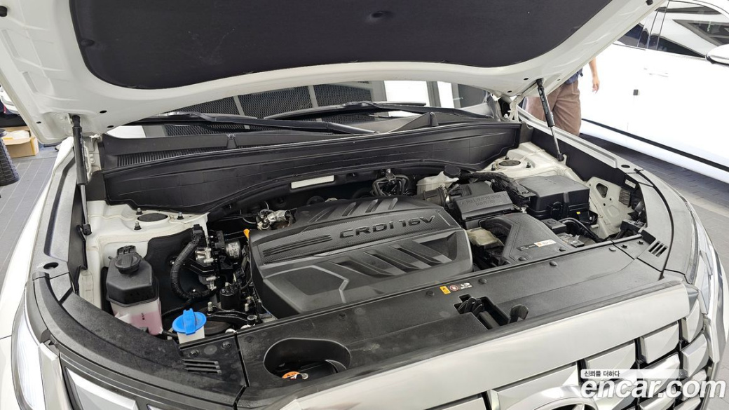 Hyundai Palisade Diesel 2.2 2WD, 2024