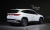 Hyundai Tucson Gasoline 1.6 Turbo 2WD, 2024