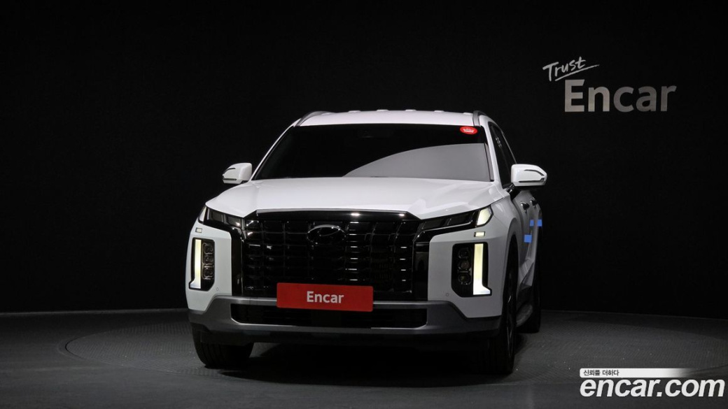 Hyundai Palisade Diesel 2.2 2WD, 2024