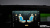 Land Rover Defender 110 D250 SE, 2023