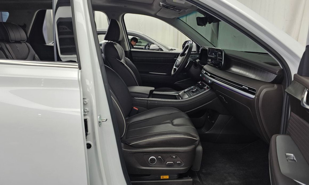 Hyundai Palisade Diesel 2.2 4WD, 2024