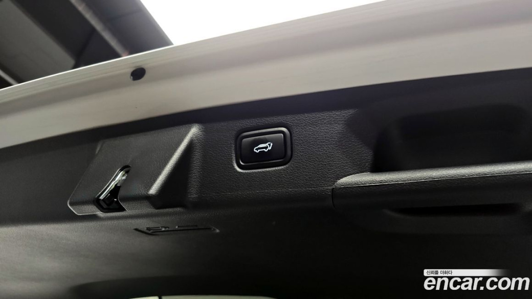 Hyundai Palisade Diesel 2.2 2WD, 2024