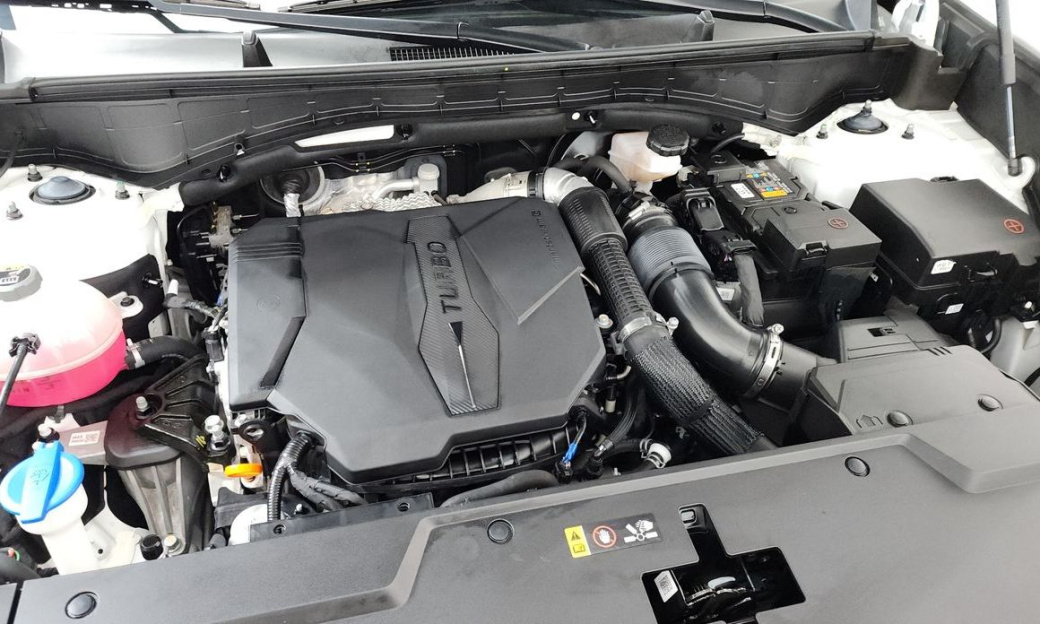 Hyundai Santafe Gasoline 2.5T 4WD, 2024