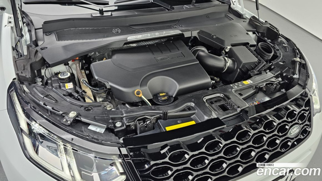 Land Rover Discovery Sport P250 Dynamic SE, 2025