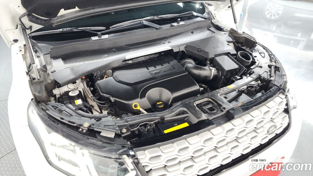 Land Rover Discovery Sport P250 SE, 2022
