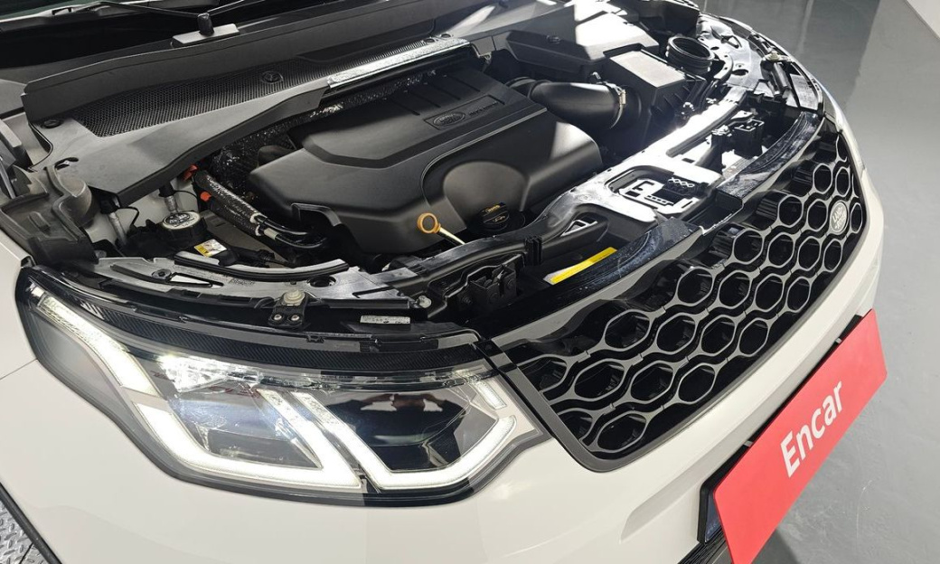 Land Rover Discovery Sport P250 Dynamic SE, 2025