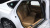 Genesis G80 Gasoline 2.5 Turbo AWD, 2025