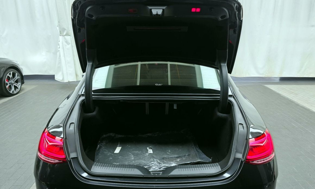 Mercedes-Benz CLS-Class CLS300d 4MATIC, 2022