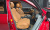 Genesis GV80 2.5T Gasoline AWD, 2024