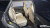 Genesis GV80 2.5T Gasoline 2WD, 2024