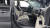 Kia Carnival 9-Seater Signature, 2025