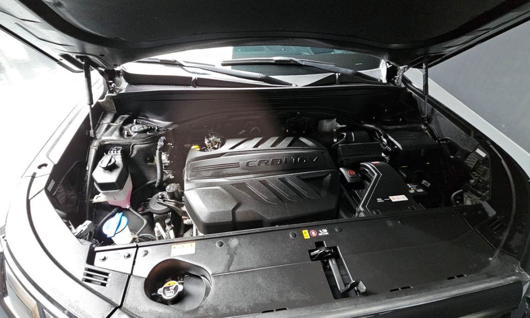 Hyundai Palisade Diesel 2.2 4WD, 2024
