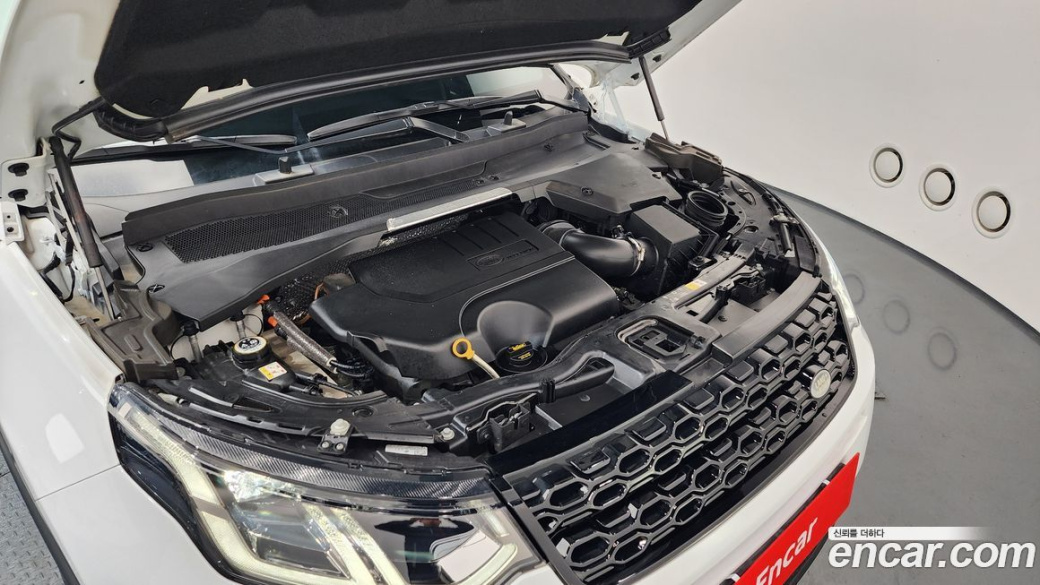 Land Rover Discovery Sport P250 SE, 2023